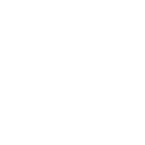 IconBR-01