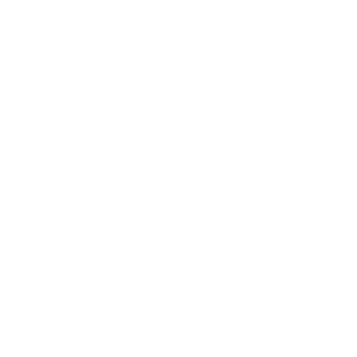IconBR-03