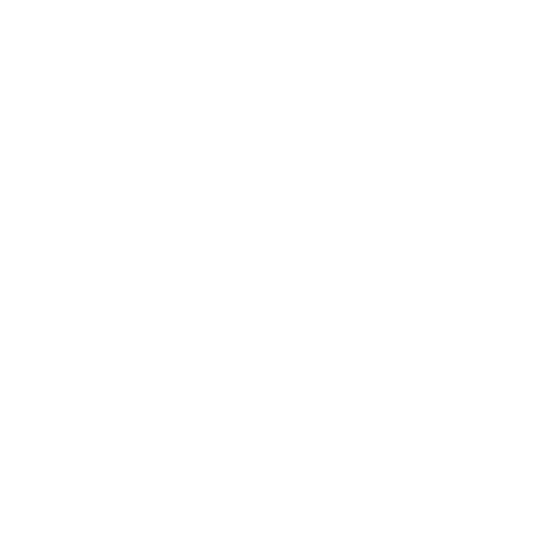 IconBR-05